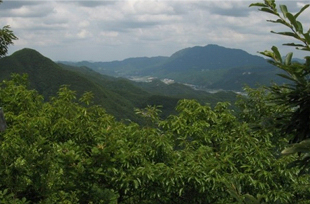 万仞山(マニン山)休養林