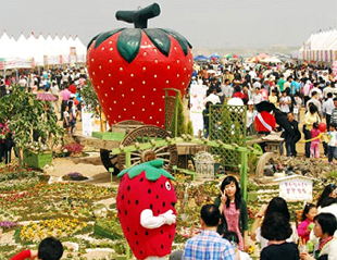 論山イチゴ祭り (논산딸기축제)
image2
